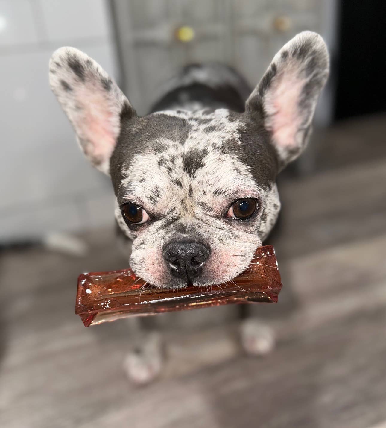 Mighty Marrows Collagen Dental Chew - Bacon - 2 Sizes