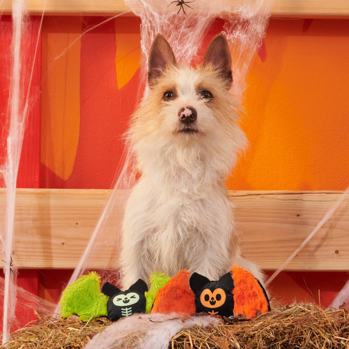 BARK Flutter & Fang Plush Dog Toy - Doglicious Bakery Bites