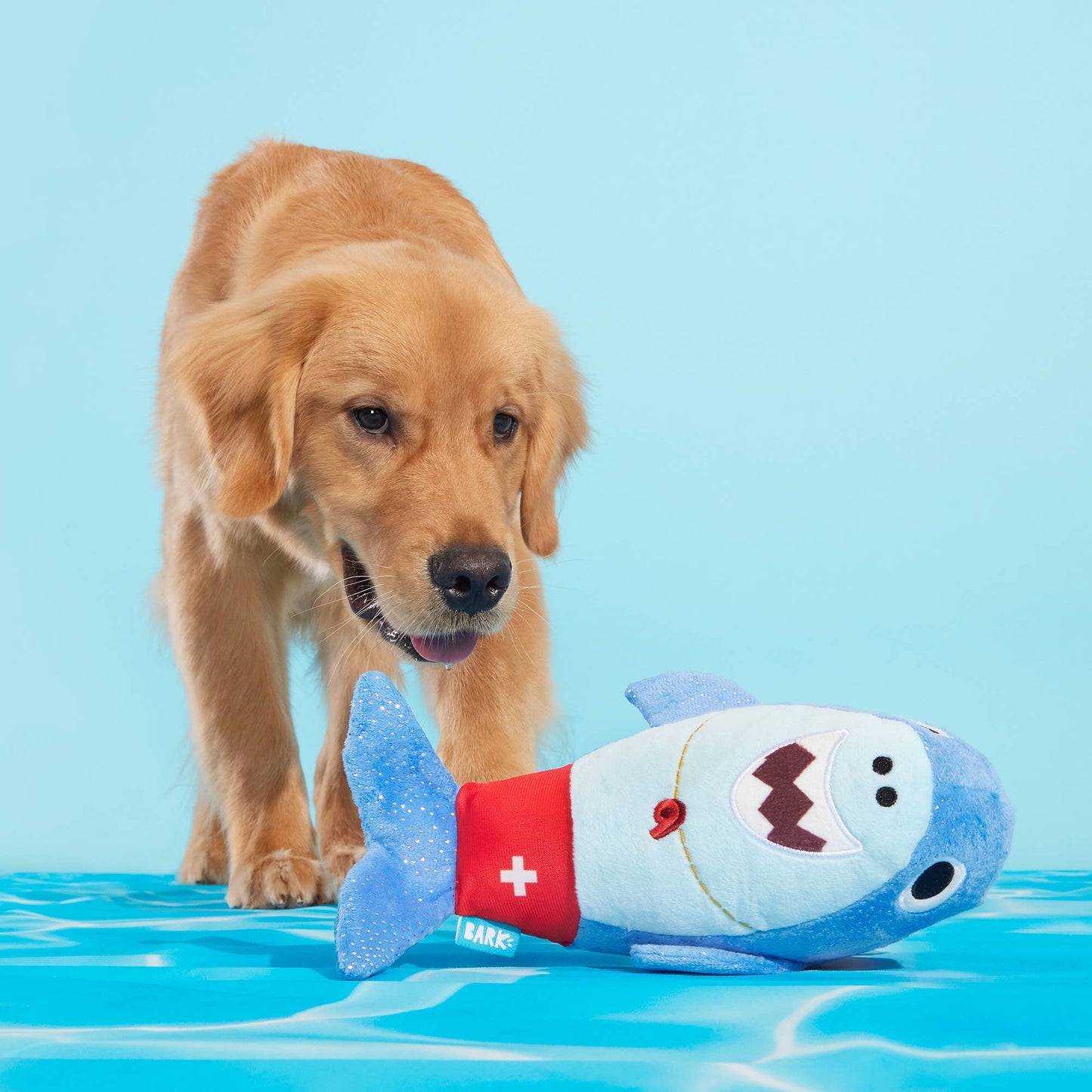 BARK Pool Shark Shane Plush Dog Toy - Doglicious Bakery Bites