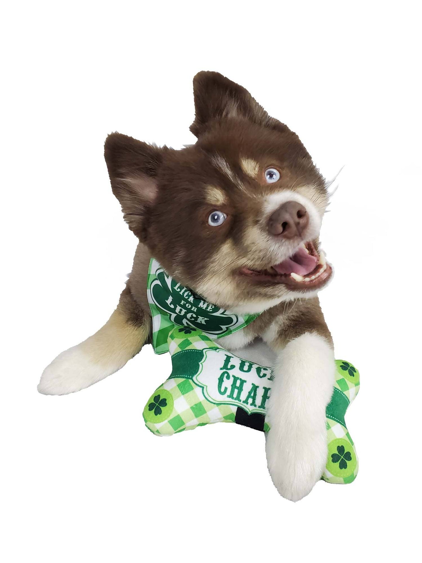 Barker's Bowtique - HIP DOGGIE ST. PATRICK'S SHAMROCK BONE TOY - Doglicious Bakery Bites