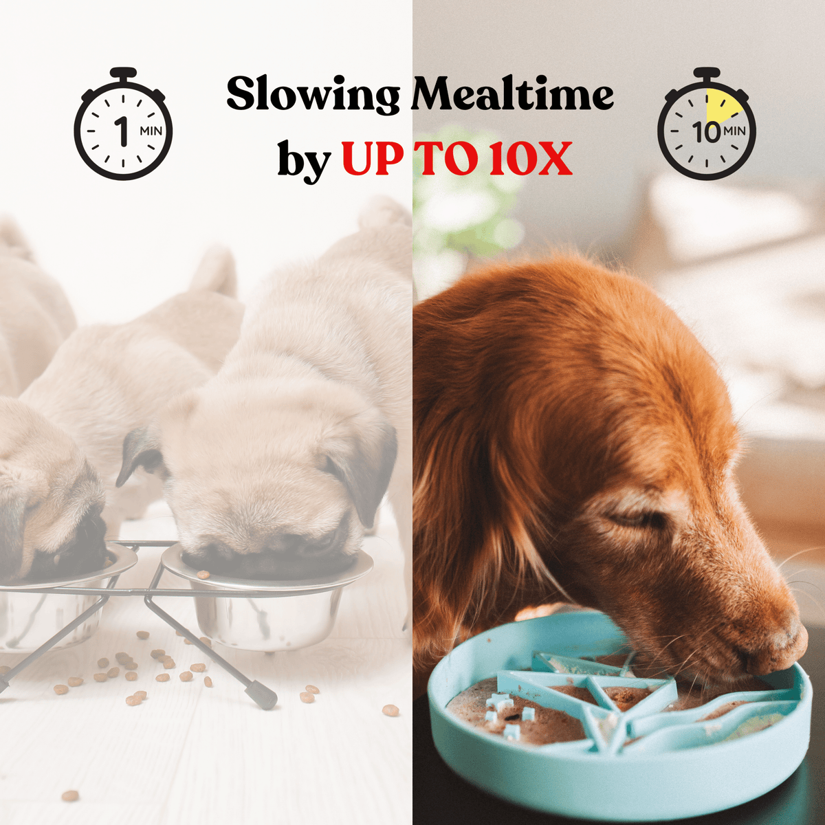 Barks and Brownies - Mushroom Slow Feeder - Doglicious Bakery Bites