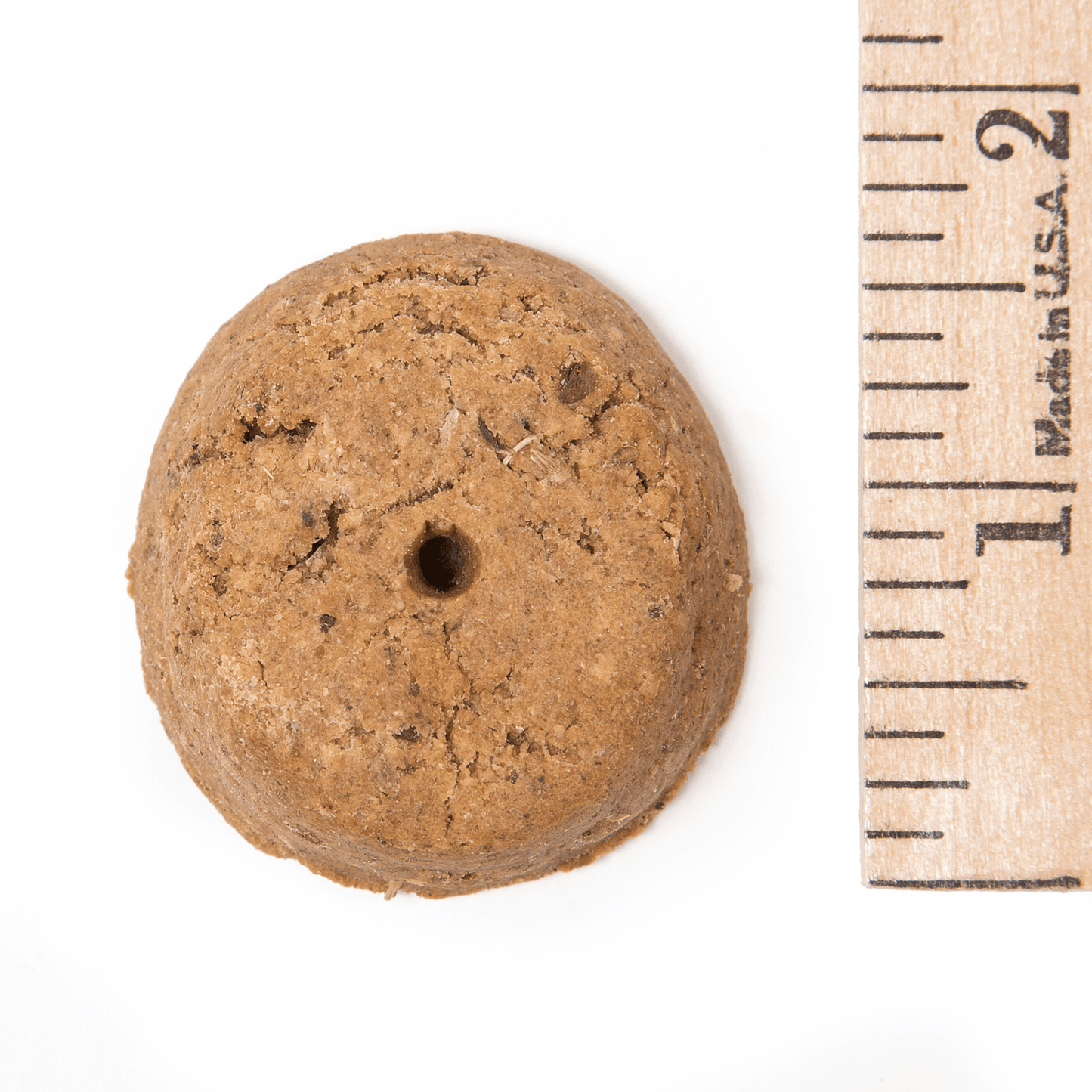 Carrot Cake - Doglicious Bakery Bites