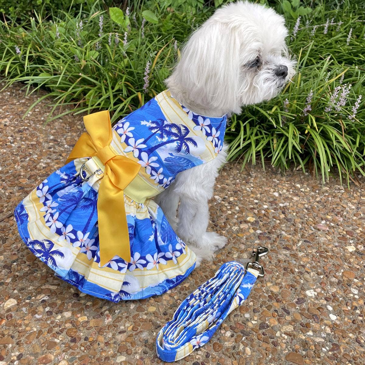 Catching Waves Dog Dress w/ Matching Leash - Doglicious Bakery Bites