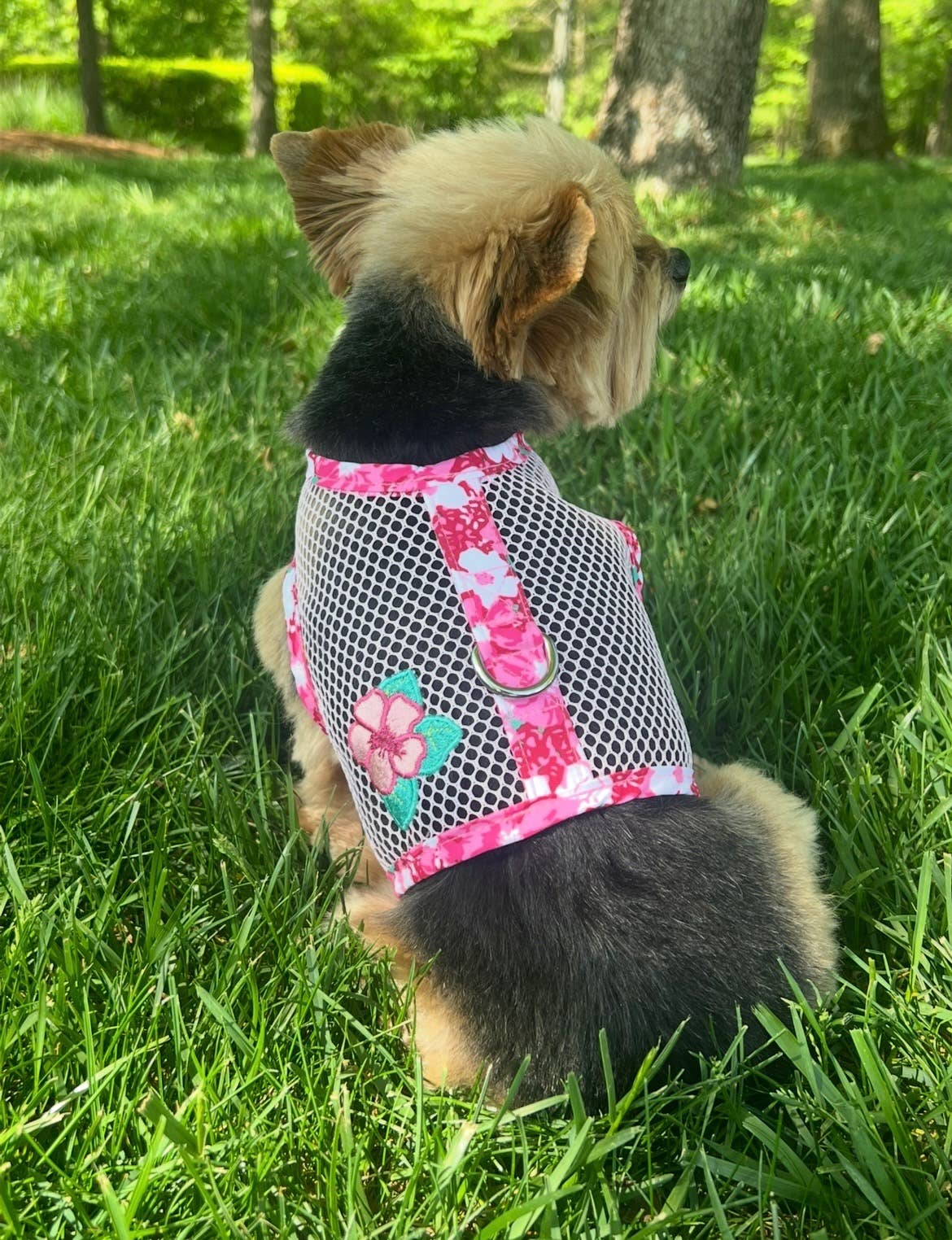Cool Mesh Dog Harness - Hawaiian PINK Hibiscus - Doglicious Bakery Bites