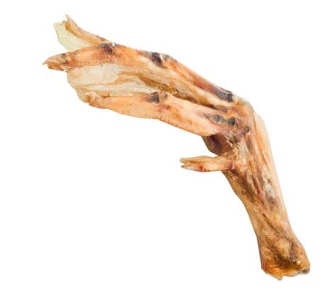 Dried Duck Feet Dog Treats - Doglicious Bakery Bites