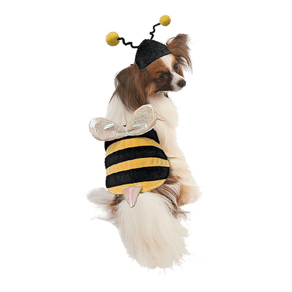 Fashion Pet Halloween Costume Bumble Bee M/L - Doglicious Bakery Bites