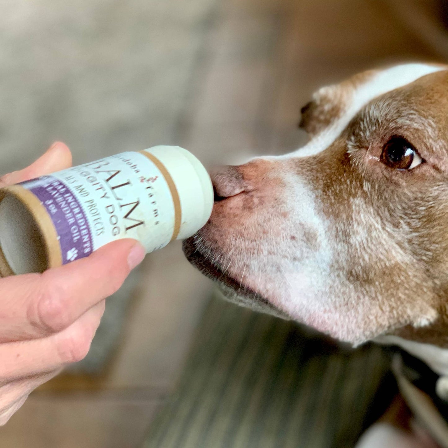Healthy PAWS And NOSE Balm - Doglicious Bakery Bites