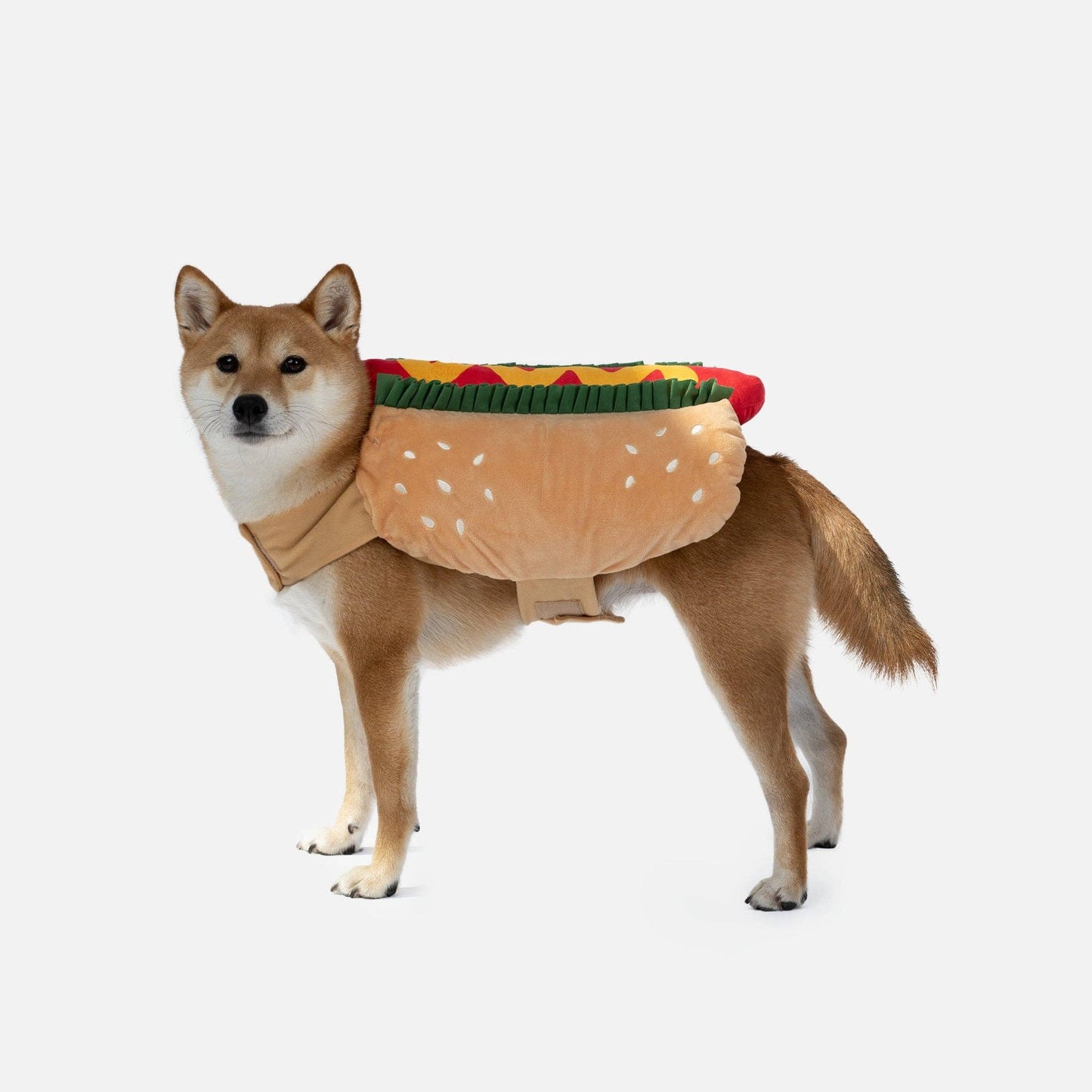 Hotdog Dog Costume - Doglicious Bakery Bites