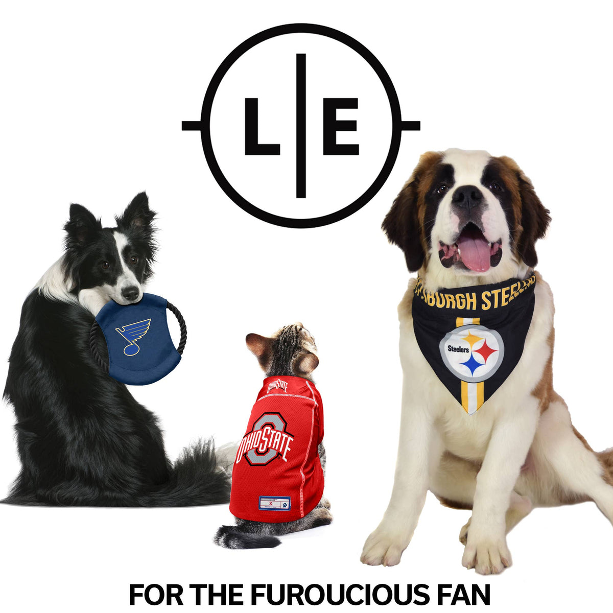 Little Earth Productions - NFL Miami Dolphins Pet Stretch Jersey - Doglicious Bakery Bites