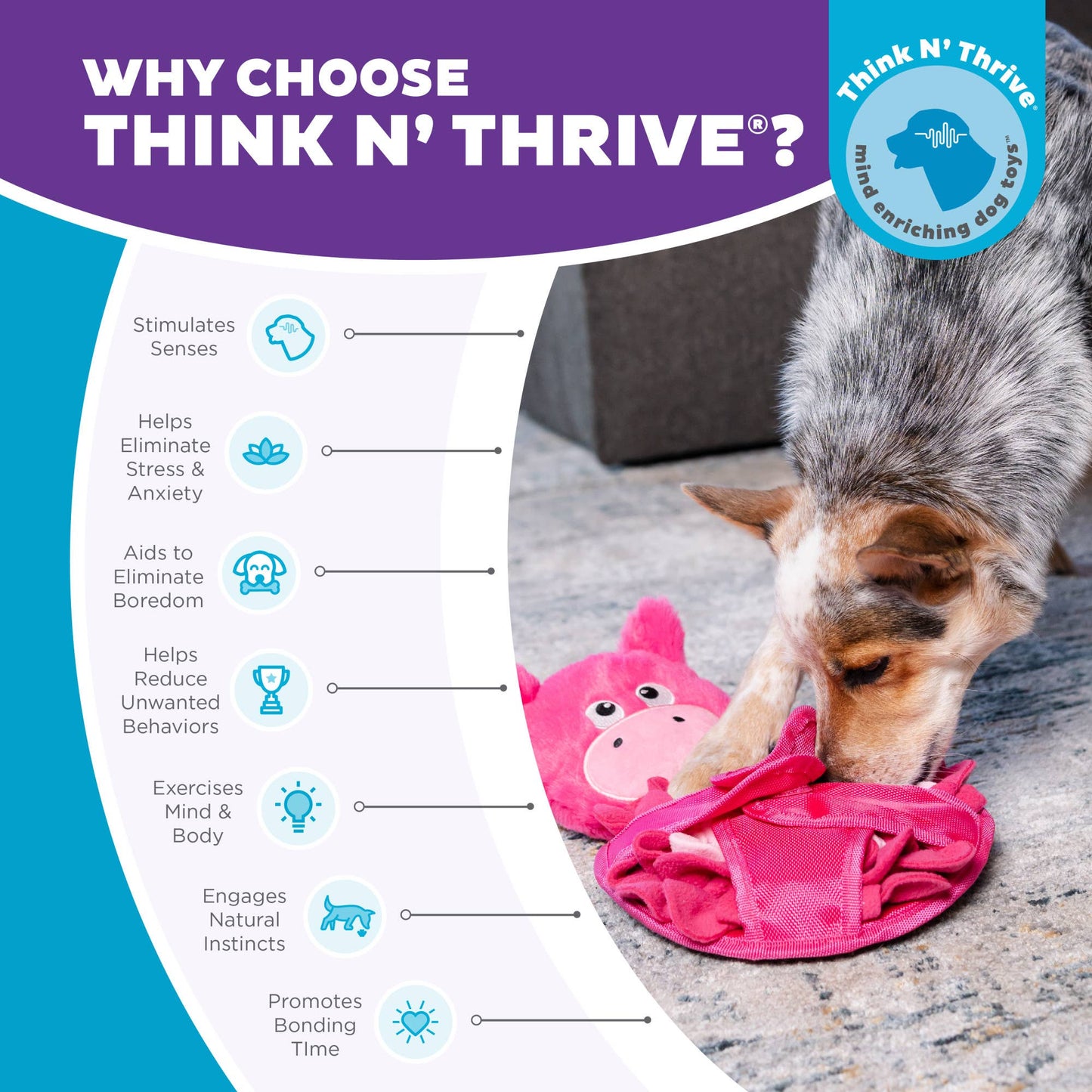 Nina Ottosson Snuffle Palz Pig TNT Pink Large - Doglicious Bakery Bites