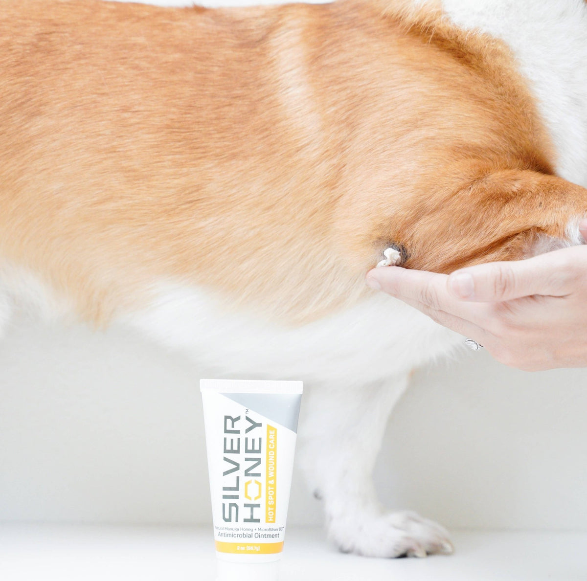 Pet Palette Distribution - Absorbine Pet - Silver Honey Hot Spot & Wound Ointment 2oz - Doglicious Bakery Bites