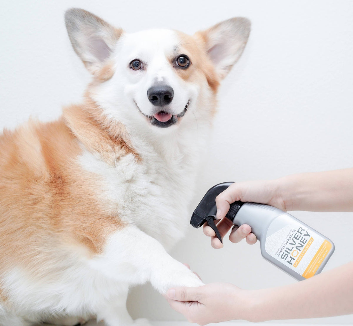 Pet Palette Distribution - Absorbine Pet - Silver Honey Hot Spot & Wound Spray 8 fl oz - Doglicious Bakery Bites