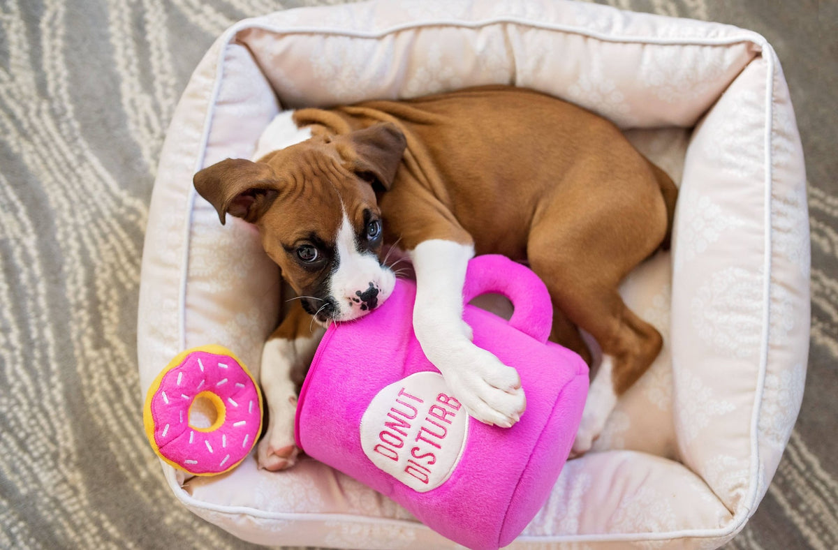 Pet Palette Distribution - ZippyPaws Zippy Burrow Coffee and Donutz - Doglicious Bakery Bites