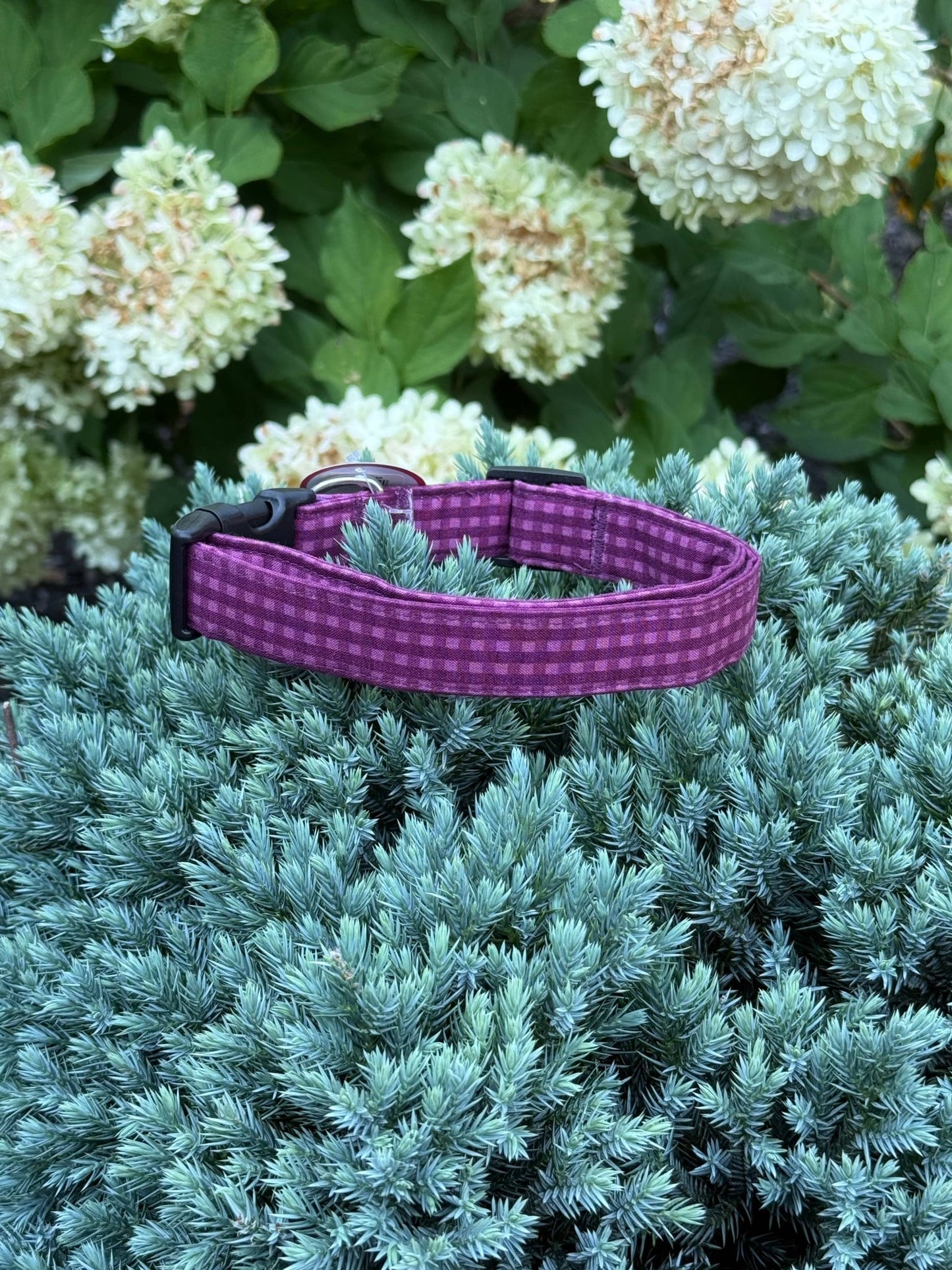 Purple Plaid Limited Edition Collar for Dogs or Cats - Doglicious Bakery Bites