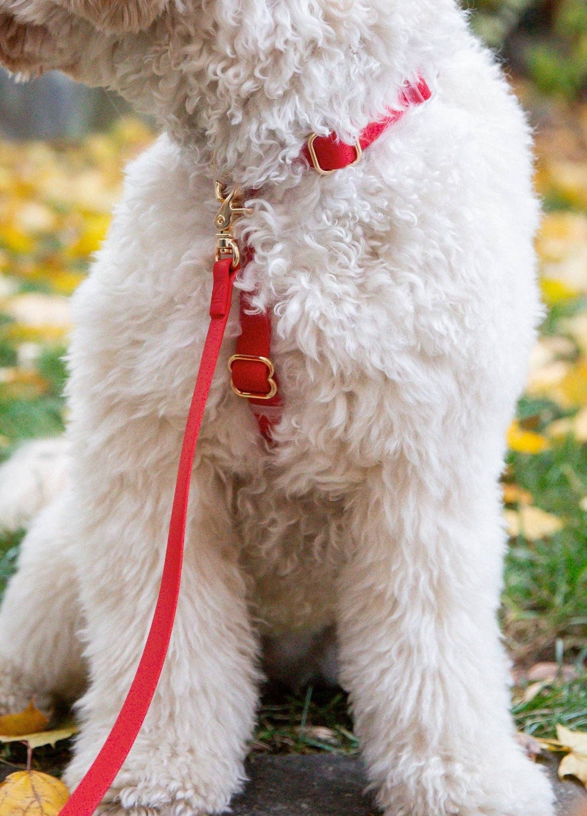 SUNNY TAILS - Cherry Red Waterproof Cloud Dog Leash - Doglicious Bakery Bites