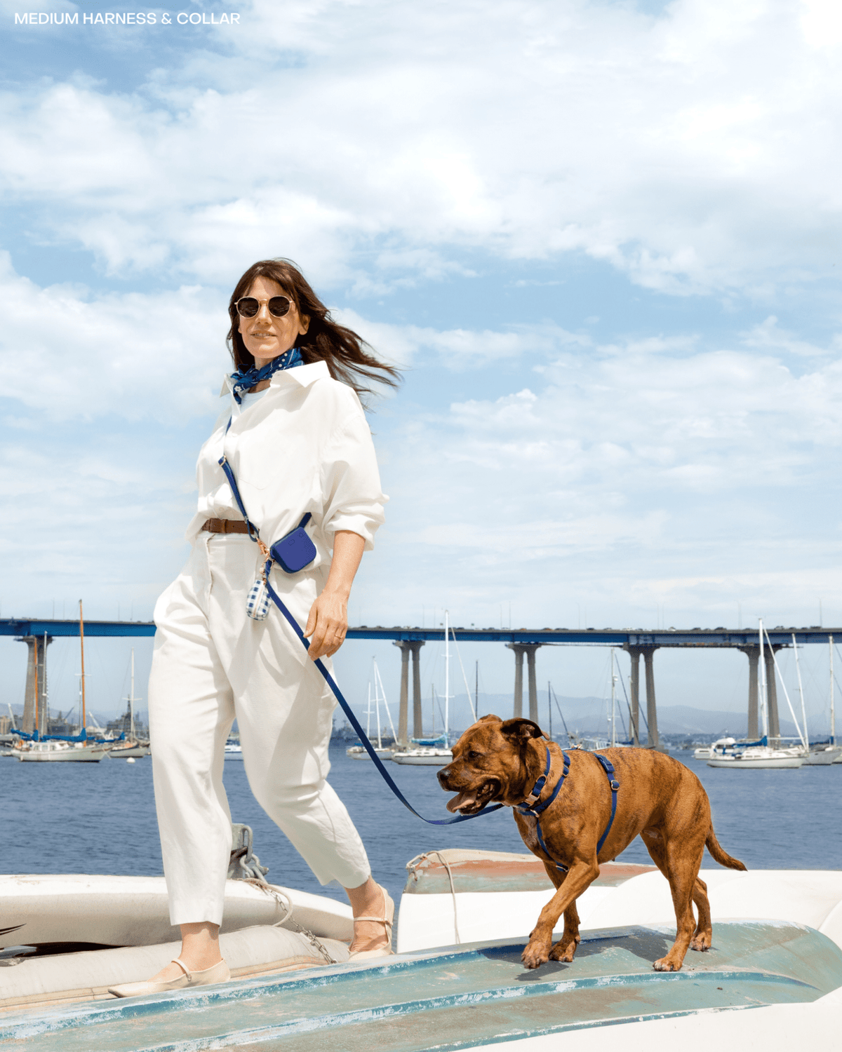 SUNNY TAILS - Signature Navy Waterproof Dog Collar - Doglicious Bakery Bites