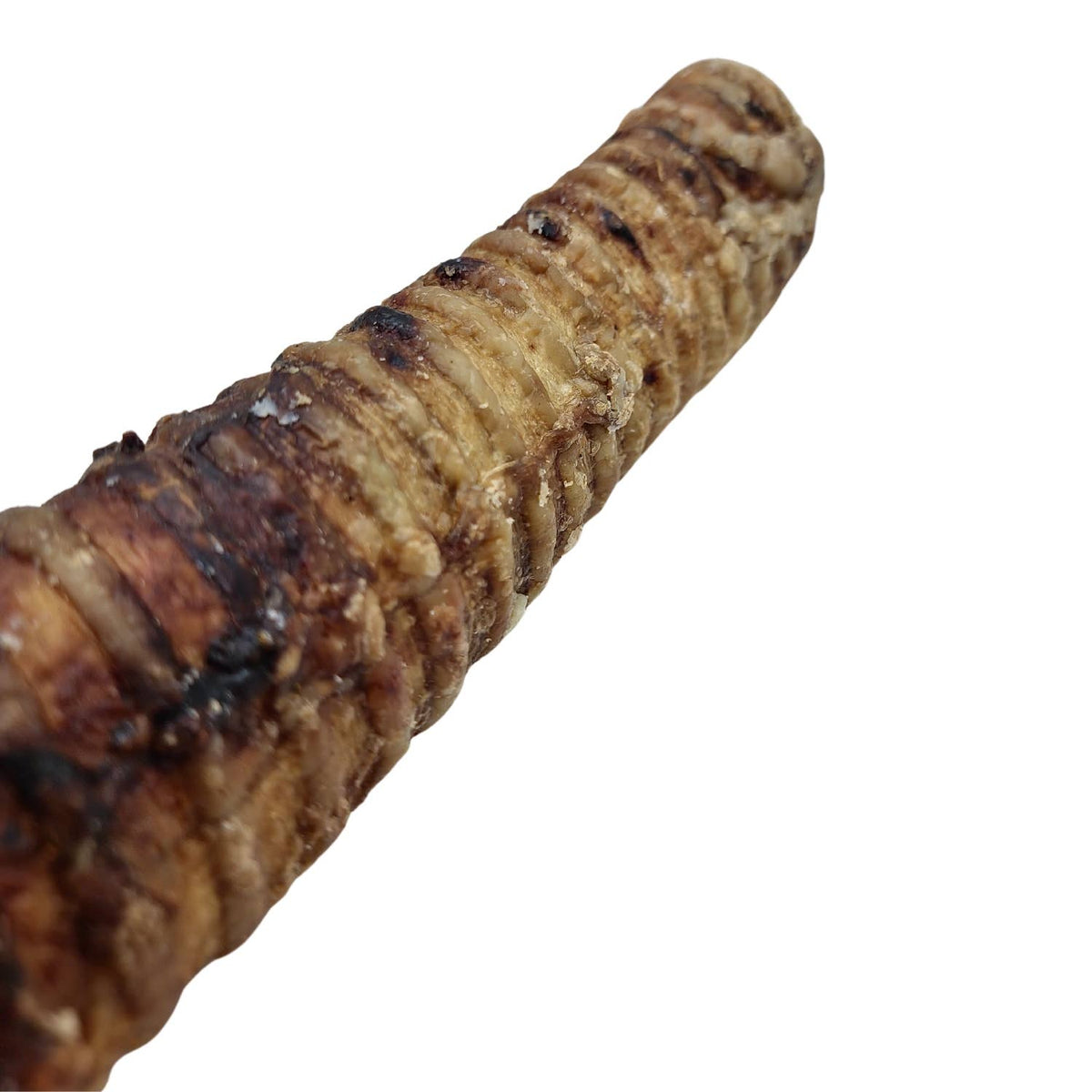 12” Beef Trachea Dog Chew – All-Natural Treat - Doglicious Bakery Bites