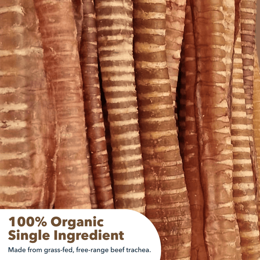 12" Large Beef Trachea - Doglicious Bakery Bites