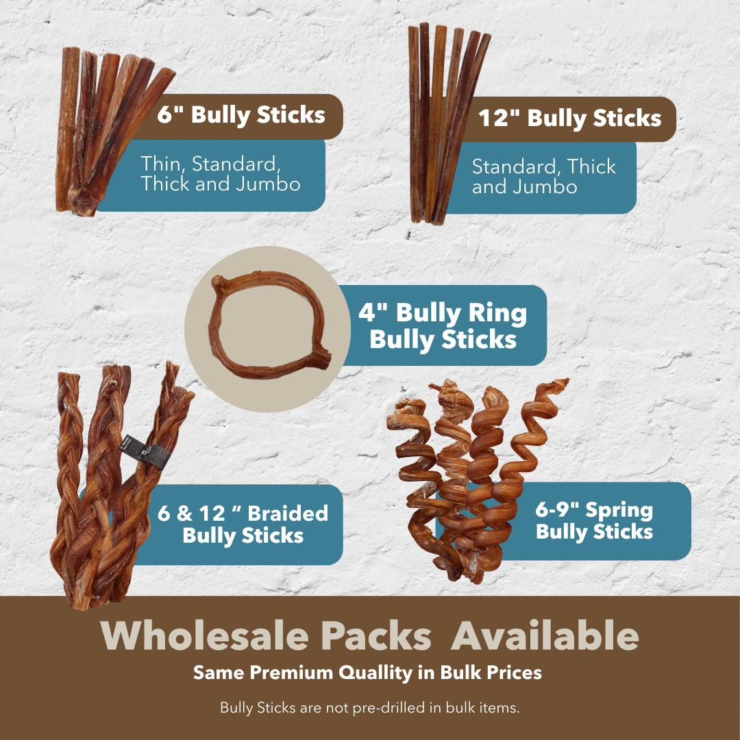 12" MONSTER Braided Bully Sticks - Doglicious Bakery Bites