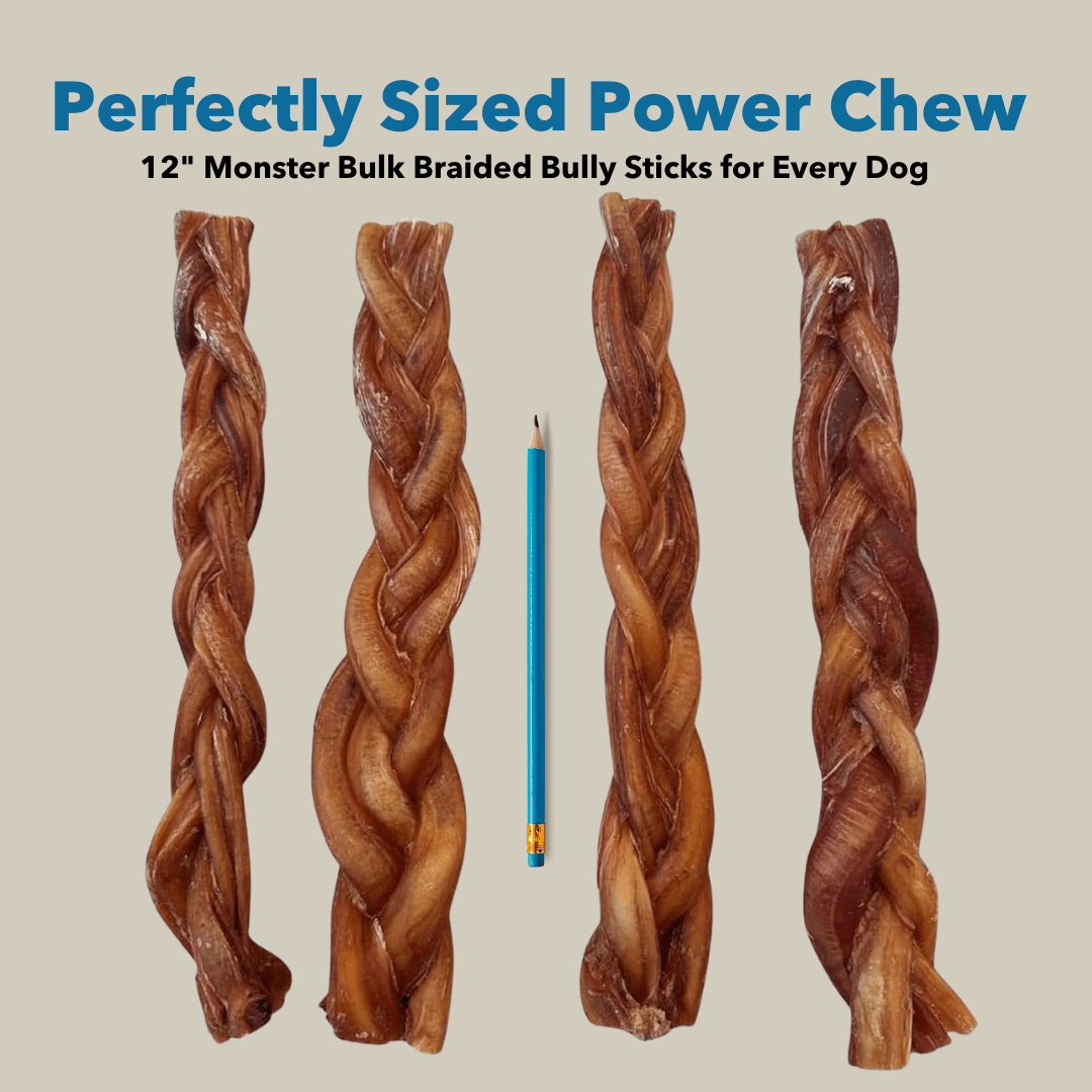12" MONSTER Braided Bully Sticks - Doglicious Bakery Bites