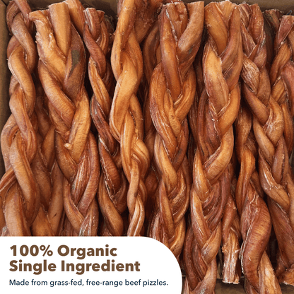 12" MONSTER Braided Bully Sticks - Doglicious Bakery Bites