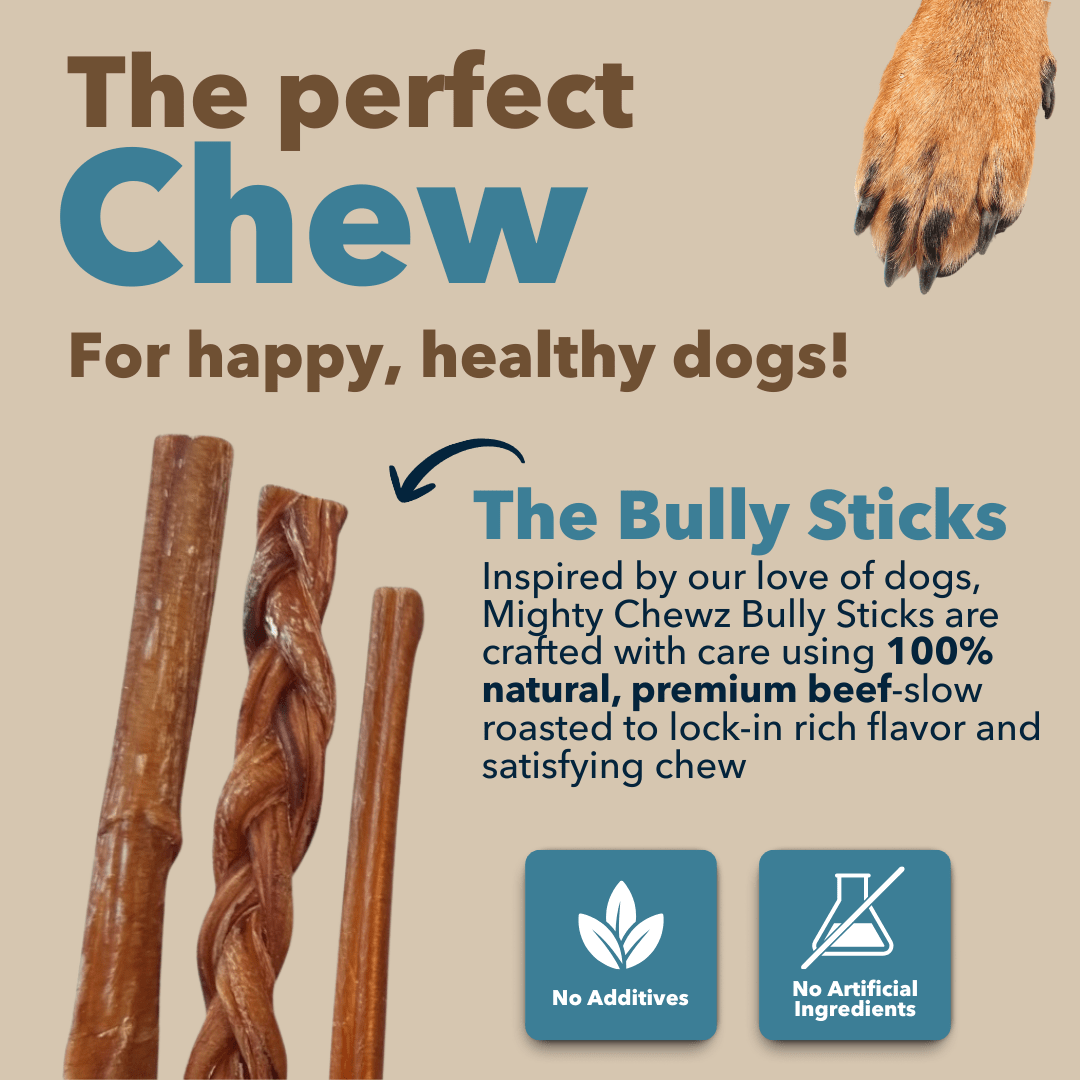 12" MONSTER Braided Bully Sticks - Doglicious Bakery Bites