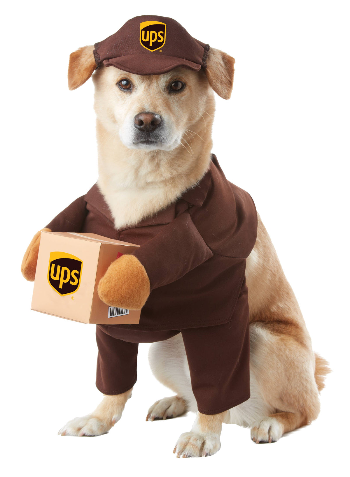 California Costumes - UPS Pal