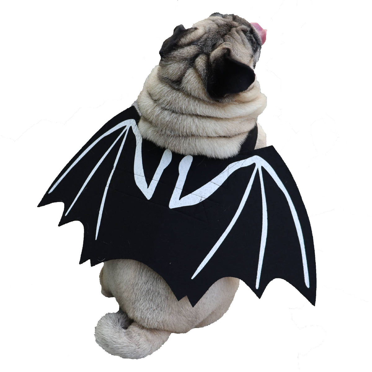 Halloween Bat Wing Pet Costume Cape