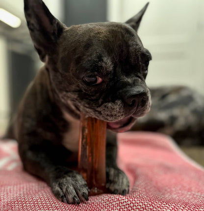 Mighty Marrows Collagen Dental Chew - Bacon - 2 Sizes