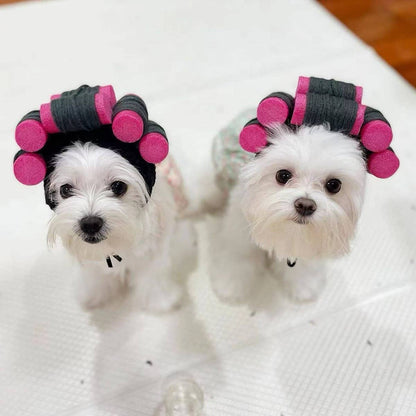 Curly Hair Wig for Dogs & Cats – Pet Costume Hat