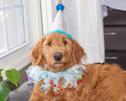Pet Palette Distribution - Multipet Party Pom Pom Collar Blue Small
