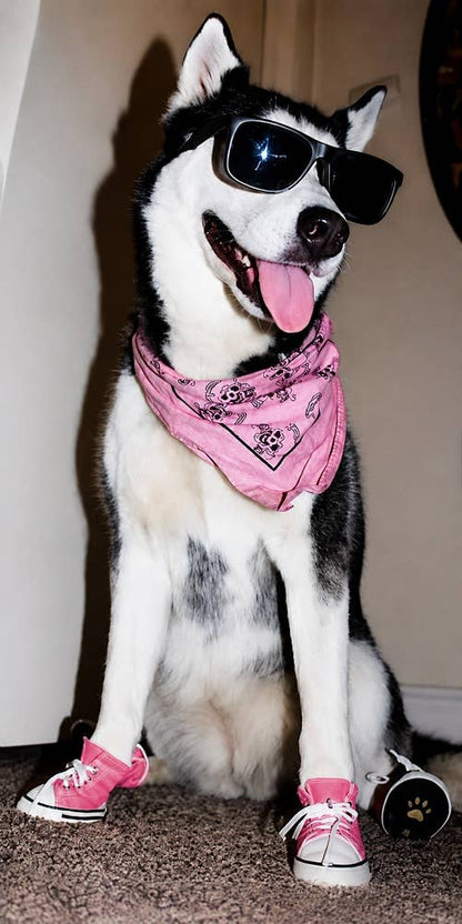 AllDogBoots - Zoomies Dog Sneakers - Doglicious Bakery Bites