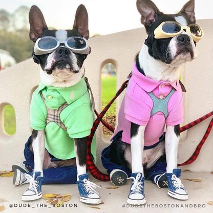 AllDogBoots - Zoomies Dog Sneakers - Doglicious Bakery Bites