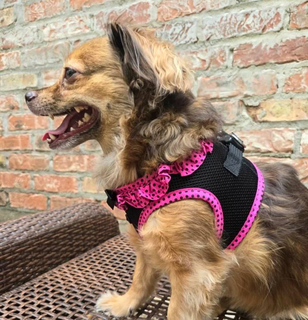 American River Polka Dot Dog Harness - Hot Pink & Black - Doglicious Bakery Bites