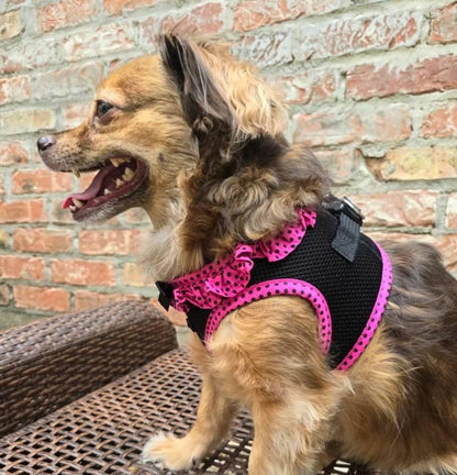 American River Polka Dot Dog Harness - Hot Pink & Black - Doglicious Bakery Bites