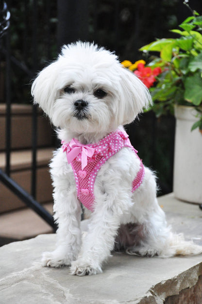 American River Polka Dot Dog Harness - Pink - Doglicious Bakery Bites