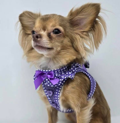 American River Polka Dot Dog Harness - Purple - Doglicious Bakery Bites