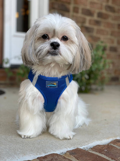 American River Solid Dog Harness - Cobalt Blue - Doglicious Bakery Bites