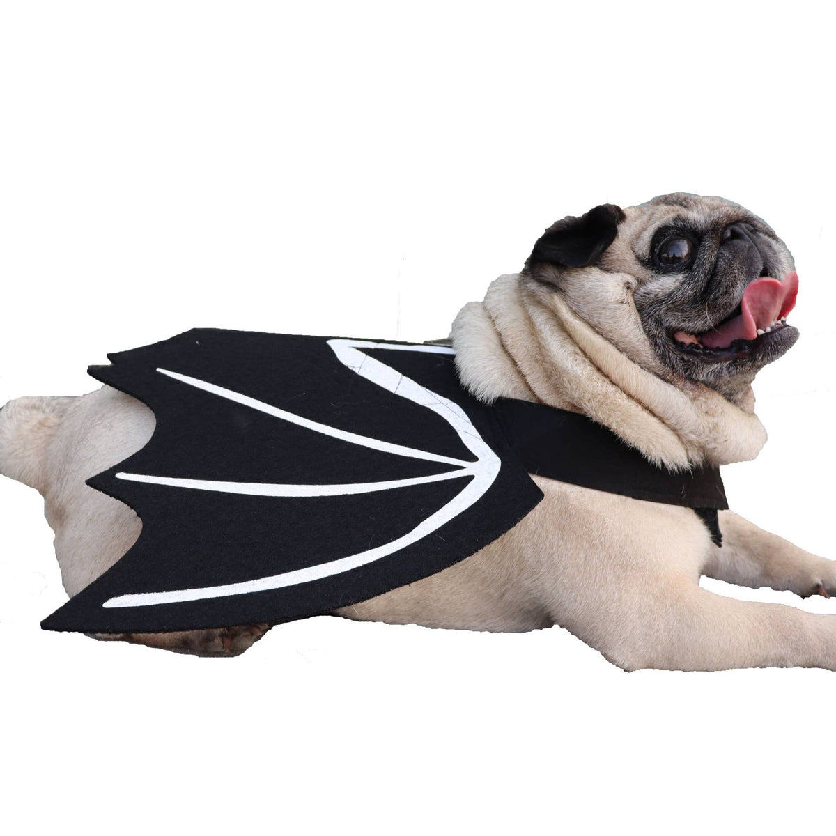 Halloween Bat Wing Pet Costume Cape