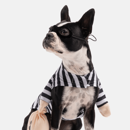 Bank Robber Dog Costume - Doglicious Bakery Bites