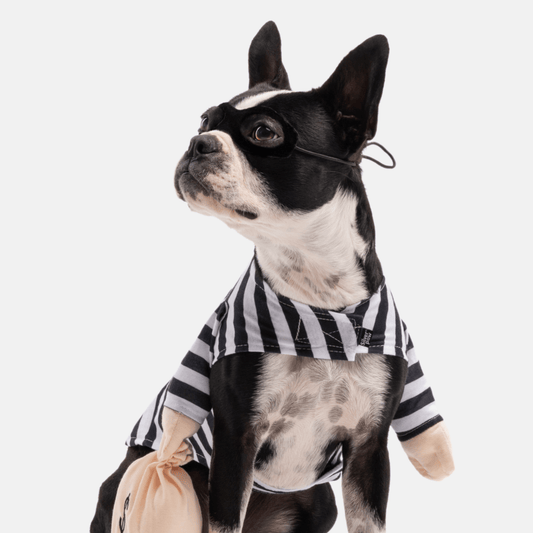 Bank Robber Dog Costume - Doglicious Bakery Bites