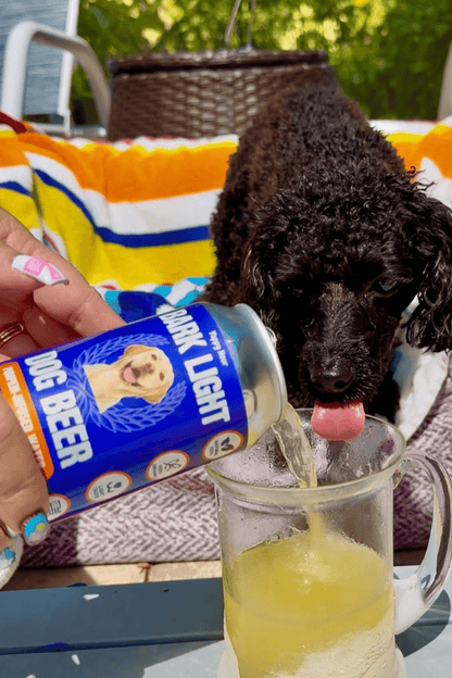 Bark Light Dog Beer 12oz | Pumpkin - Doglicious Bakery Bites