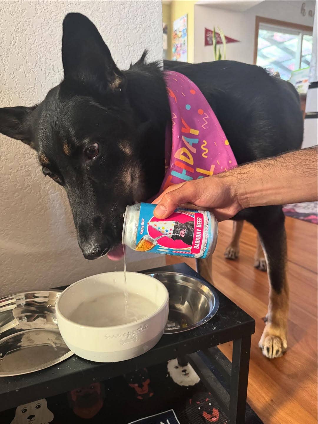 Barkday Beer - Watermelon - Doglicious Bakery Bites