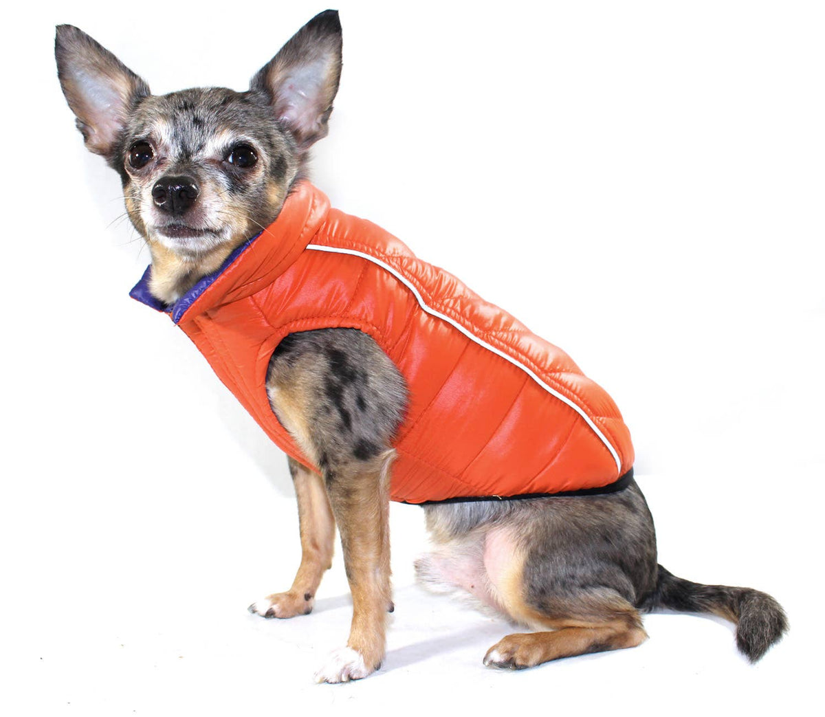 Barker's Bowtique - Featherlite Reversible-Reflective Puffer Vest - Blue/Orange - Doglicious Bakery Bites