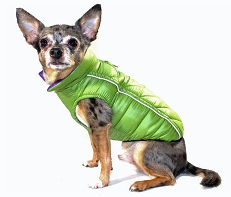 Barker's Bowtique - Featherlite Reversible-Reflective Puffer Vest - Green/Purpl - Doglicious Bakery Bites