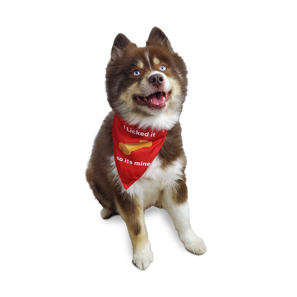 Barker's Bowtique - I Licked it, So it's Mine Dog Bandana - reversible - Doglicious Bakery Bites