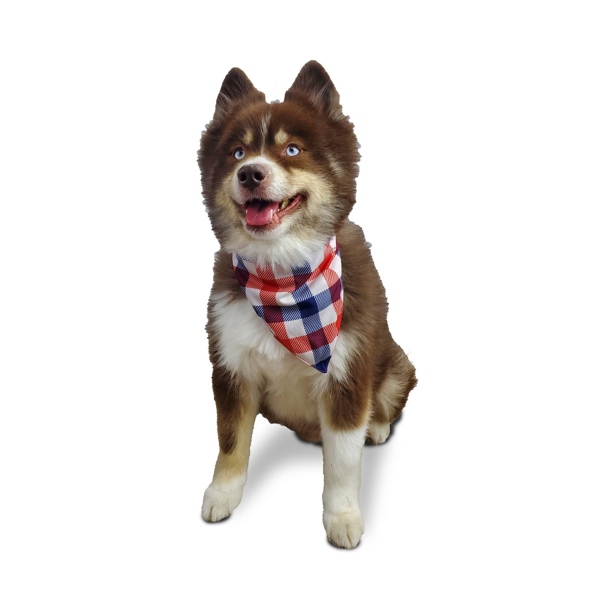 Barker's Bowtique - I Licked it, So it's Mine Dog Bandana - reversible - Doglicious Bakery Bites