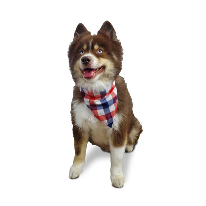 Barker's Bowtique - I Licked it, So it's Mine Dog Bandana - reversible - Doglicious Bakery Bites