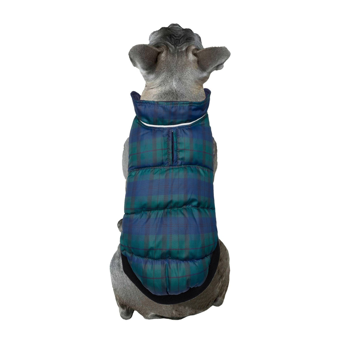 Barker's Bowtique - Navy / Plaid Flex-Fit Reversible Puffer - Doglicious Bakery Bites