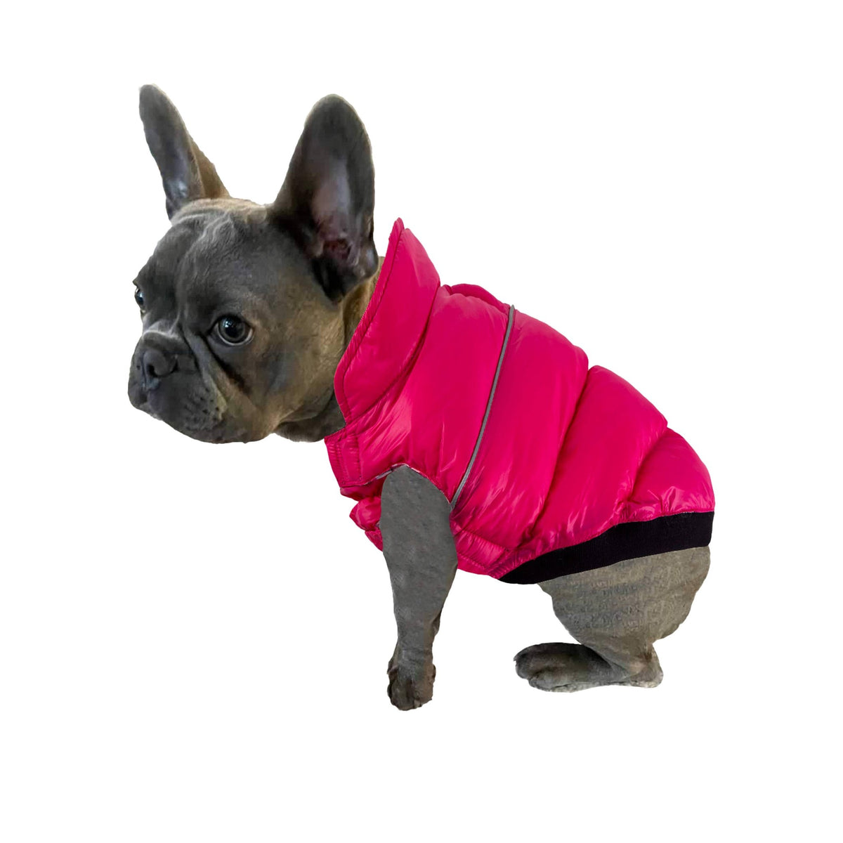Barker's Bowtique - Pink / Plaid Flex-Fit Reversible Puffer - Doglicious Bakery Bites